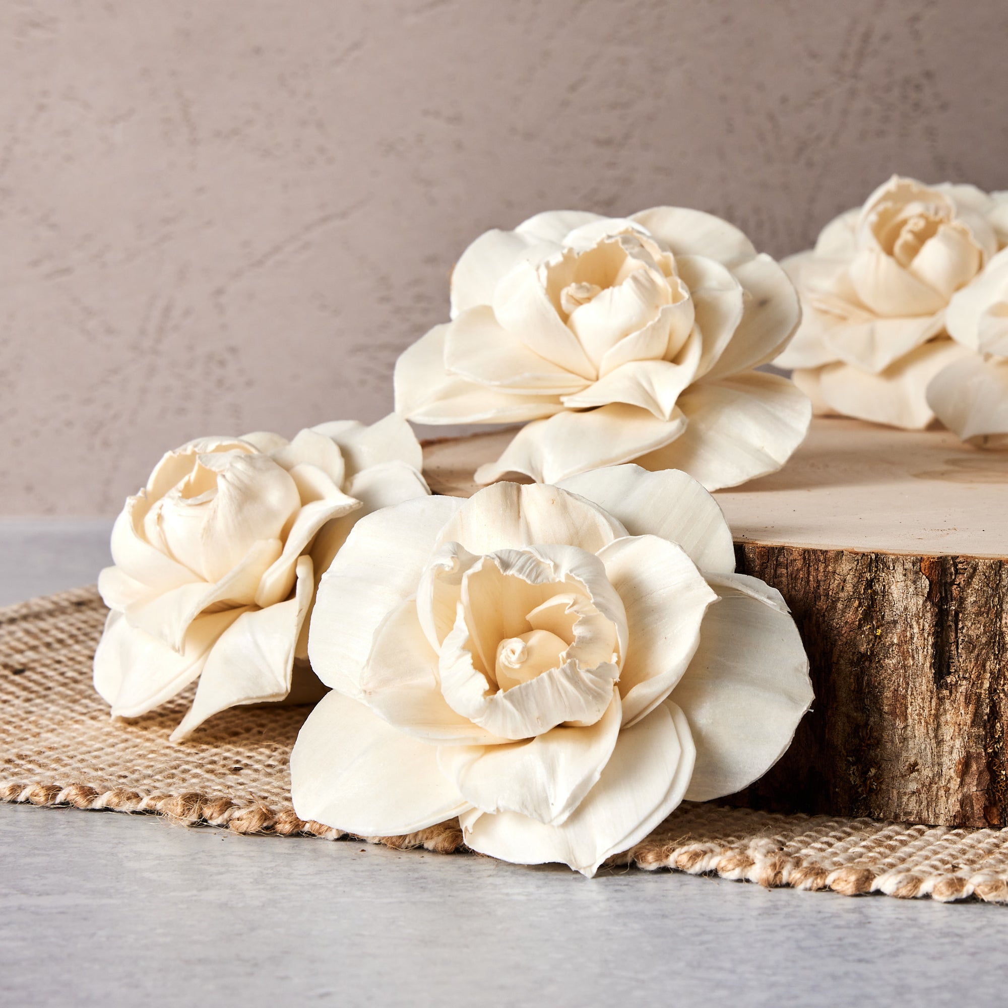 Begonia™ set of 6