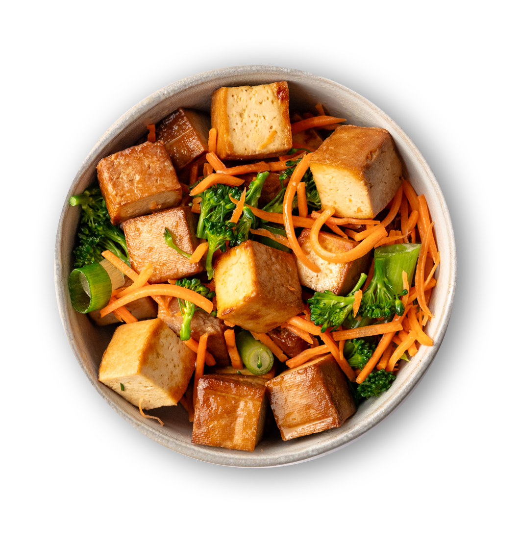 SoyBoy Organic Soy Tempeh