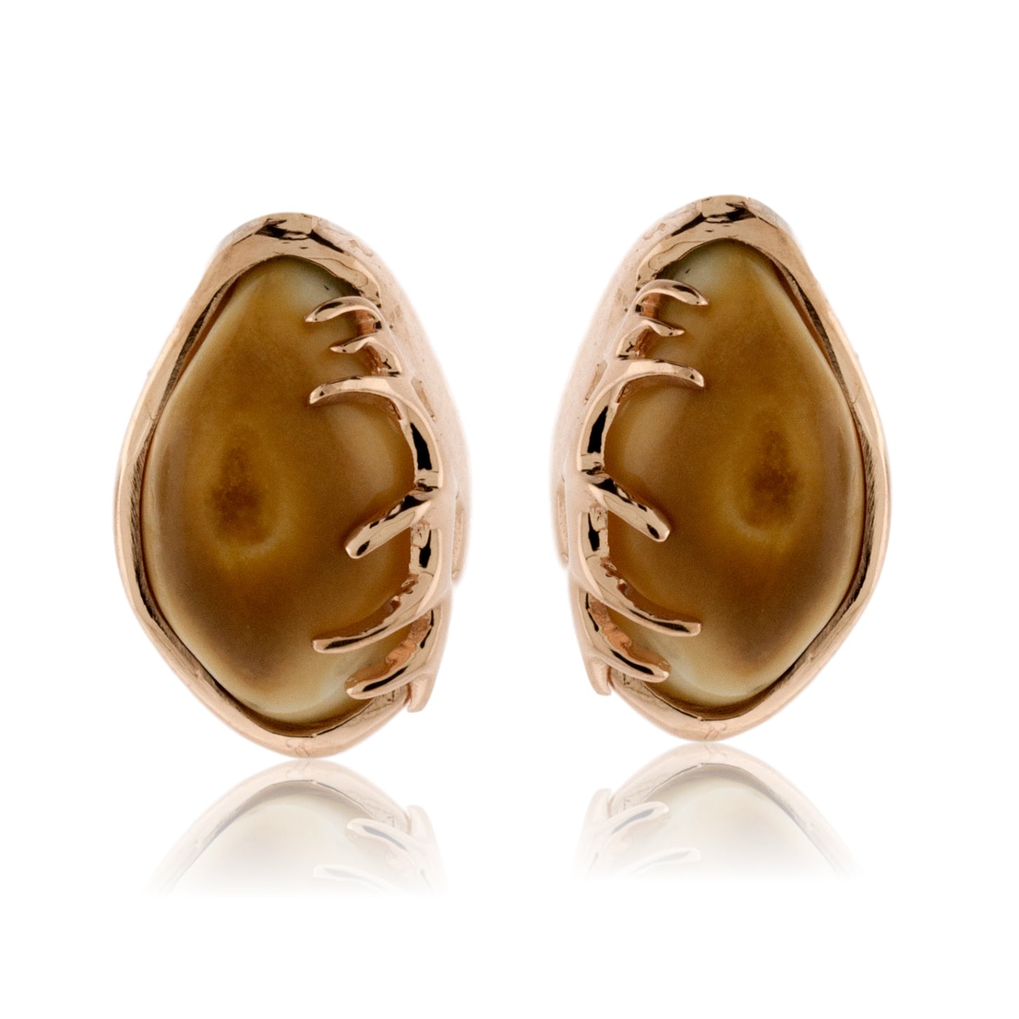 Park City Jewelers Elk Tooth Ivory Post Earrings with Antlers