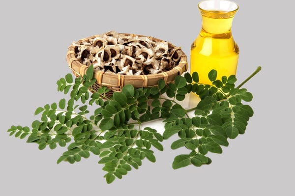 Ekologie Forte Pvt.Ltd (Organic Oils) Organic Moringa Oil (Moringa oleifera)
