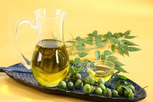 Ekologie Forte Pvt.Ltd (Organic Oils) Organic Neem Oil (Azadirachta indica)