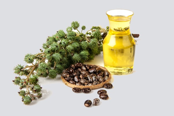 Ekologie Forte Pvt.Ltd (Organic Oils) Organic Castor Oil (Ricinus communis)
