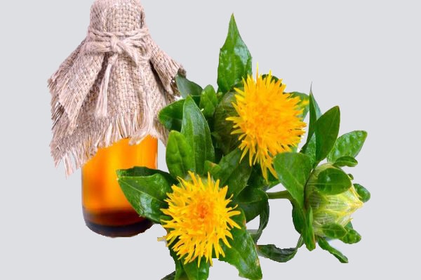 Organic Safflower Seed Oil (Carthamus tinctorius)