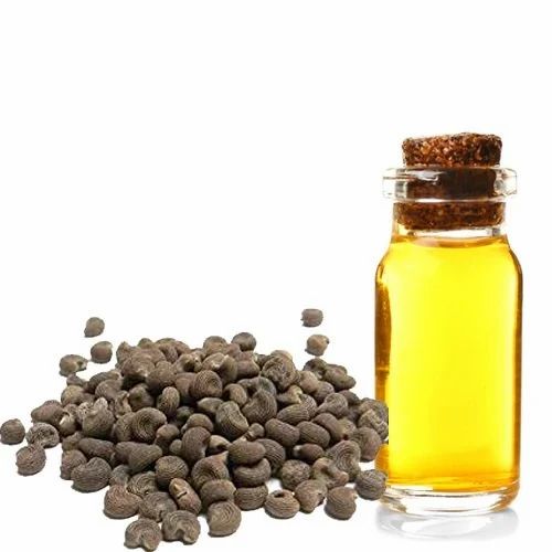 Ambrette Essential Seed Oil