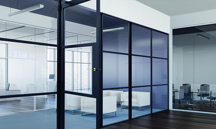 AluSpace Pivot Doors