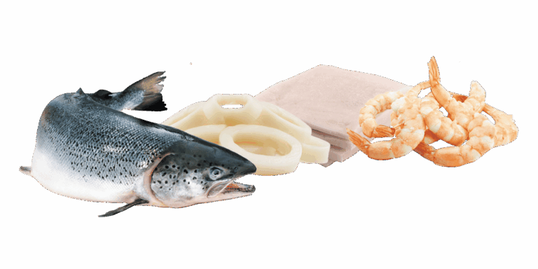 Multi-M Food Corporation Seafood