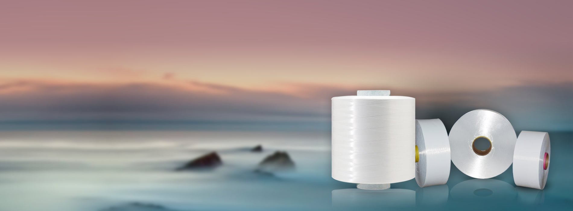 Kayavlon Impex Pvt.Ltd Polyester POY