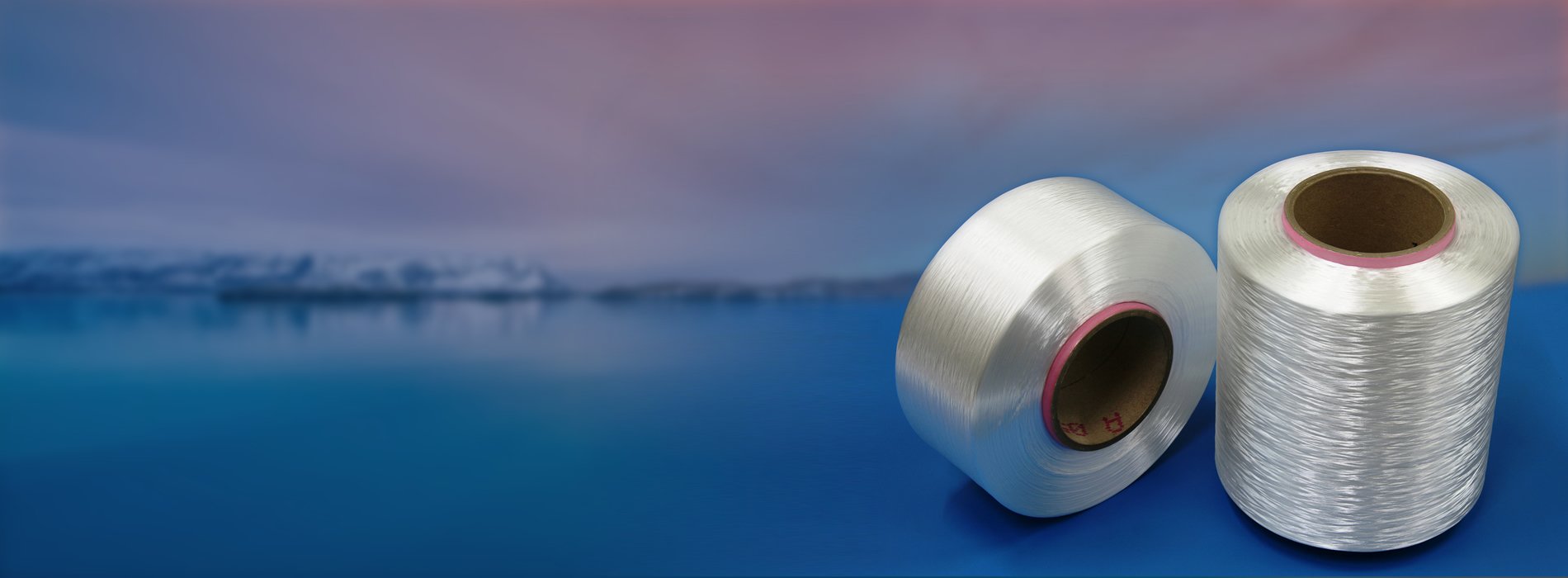 Kayavlon Impex Pvt.Ltd Polyester High Tenacity Yarn