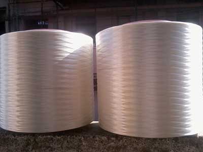 Sri Venkateshwara Polythene Polyester Binder Yarn