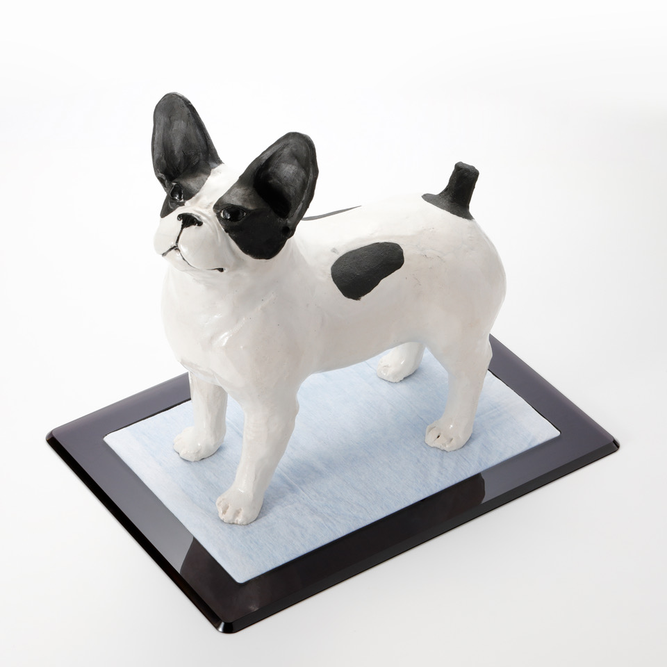 aiueo CASA Flat (犬用トイレ)