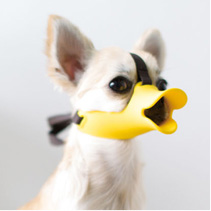 Oppo quack ss