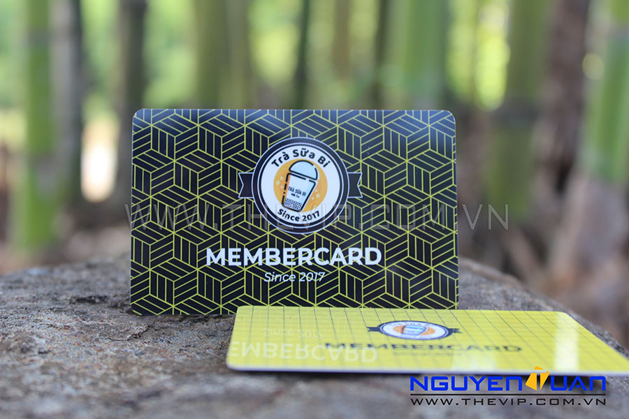 Plastic Card Viet Nam Membership Cards