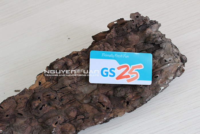 Plastic Card Viet Nam Specialty Cards