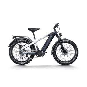 Haidong Electric Bike All-Terrain Electric Bike Hunting ebike Dual motor D2 Pro