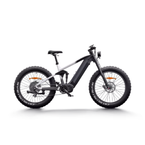 Haidong Electric Bike All-Terrain Electric Bike Hunting ebike Dual motor 1000W D3 Pro