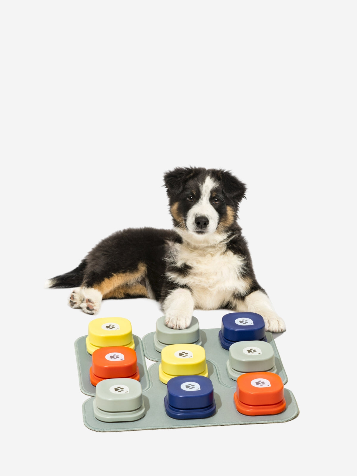 MewooFun Master Talking Buttons 9 Pack