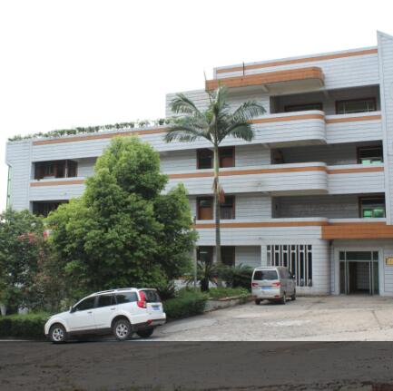Zigong City Dragon Culture and Arts Co., Ltd. factory image 1