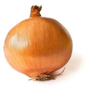 new crop Red Yellow Onion fresh Vegetables fresh onion wholesale sale fresh onions