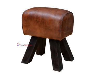 SHIVA CREATIONS Leather Ottoman India