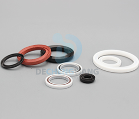 PTFE Seals