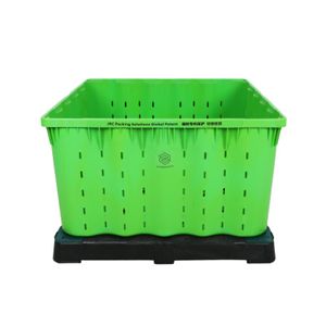 factory outlet export stacking pallet box integrated plastic fruit box transport storage pallet bin
