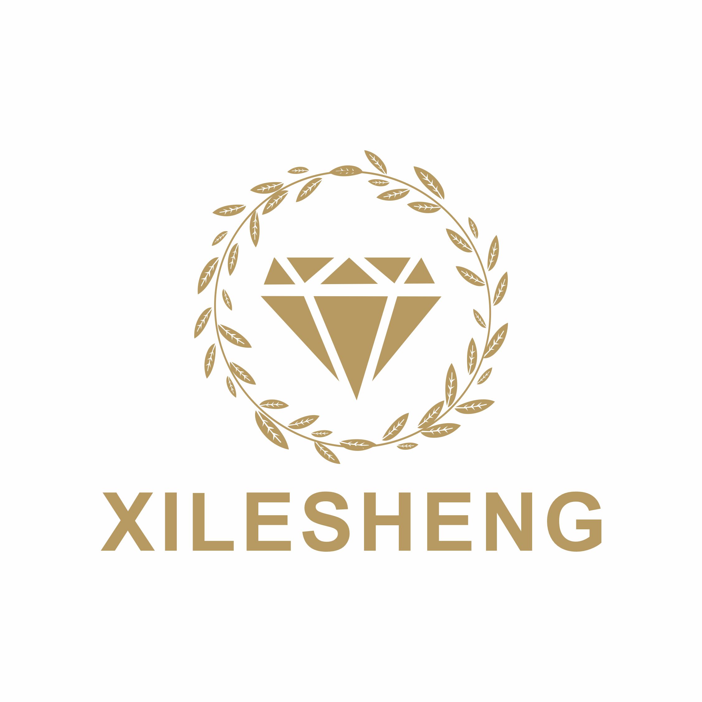 Shenzhen Xilesheng Trading Co., Ltd. logo
