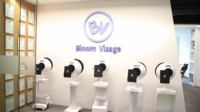 Shanghai Weijiayu Trading Co., Ltd. Facial Diagnostic Analysis Machine