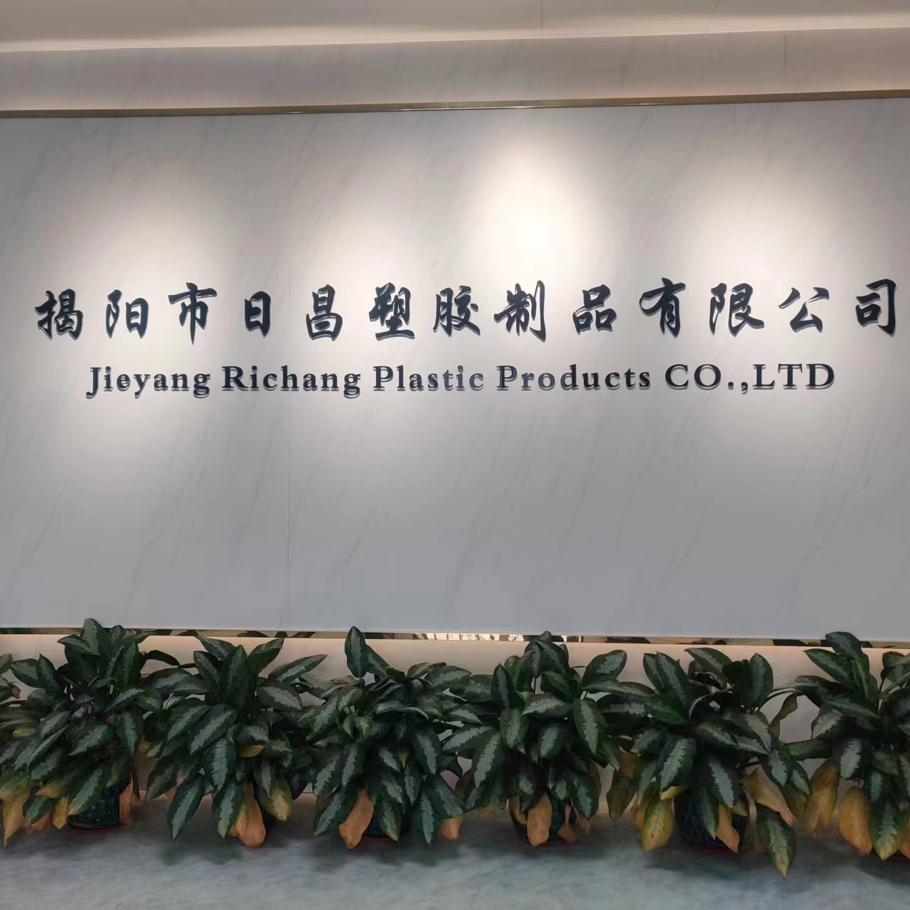 Jieyang Richang Plastic Products Co., Ltd. Silicone Coin Purse