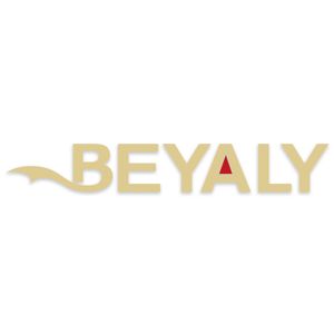 Company icon