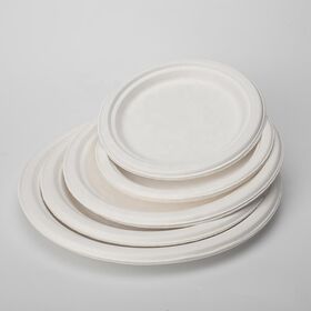 Factory Direct Disposable Plates Biodegradable Sugarcane Bagasse Paper Pulp Mould Square Food Plates