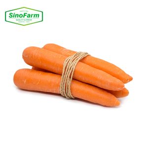 Fresh Fruits and Vegetables from China Good Price Farm Wholesale Organic Carrots