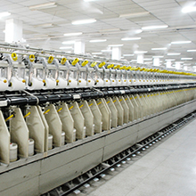 Echo-Silk Co., Ltd. Silk Handkerchiefs