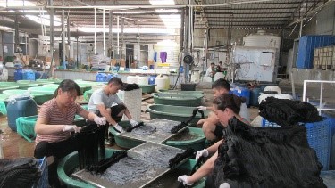 Henan Feibin Hair Products E-Business Co., Ltd. Human Hair Wigs