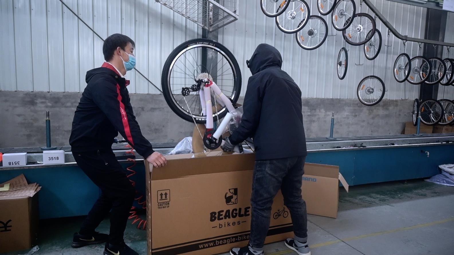 Tianjin RSD Bicycle Co., Ltd. Mountain Bike