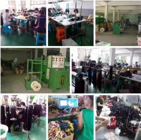 Changzhou Bestxun Electronic Co., Ltd. Auto Diagnostic Tools