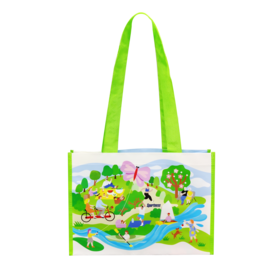 Buyrite International Co. Ltd Wholesale OEM/OEM Reusable Plastic Shopping Bag Portable easy for shopping and storage use