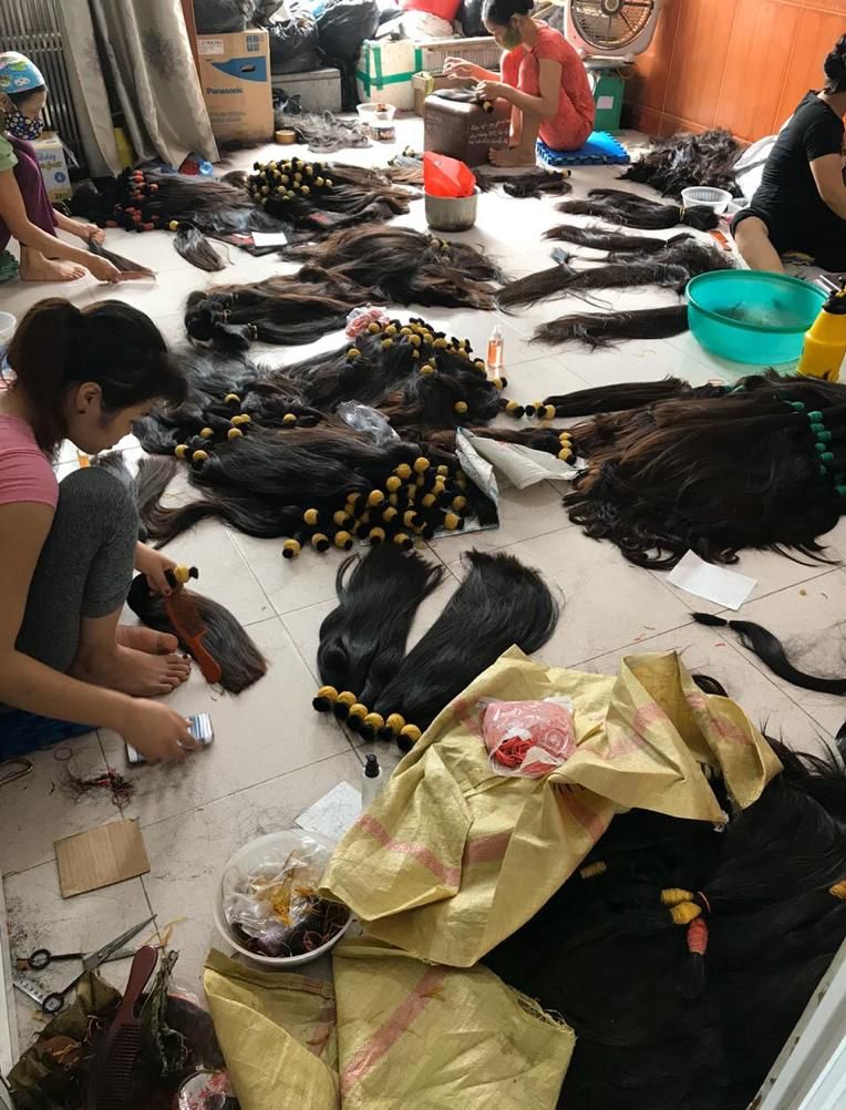 HIPRO THANH TRUNG IMPORT EXPORT AND INVESTMENT COMPANY LIMITED Human Hair