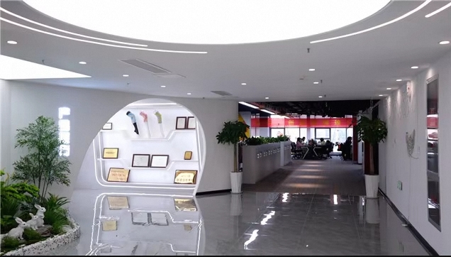 Shijiazhuang Aofit Medical Devices Co., Ltd. Posture Corrector