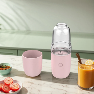 NEW design USB portable juicer fruit blender 300ml ice cream portable blender