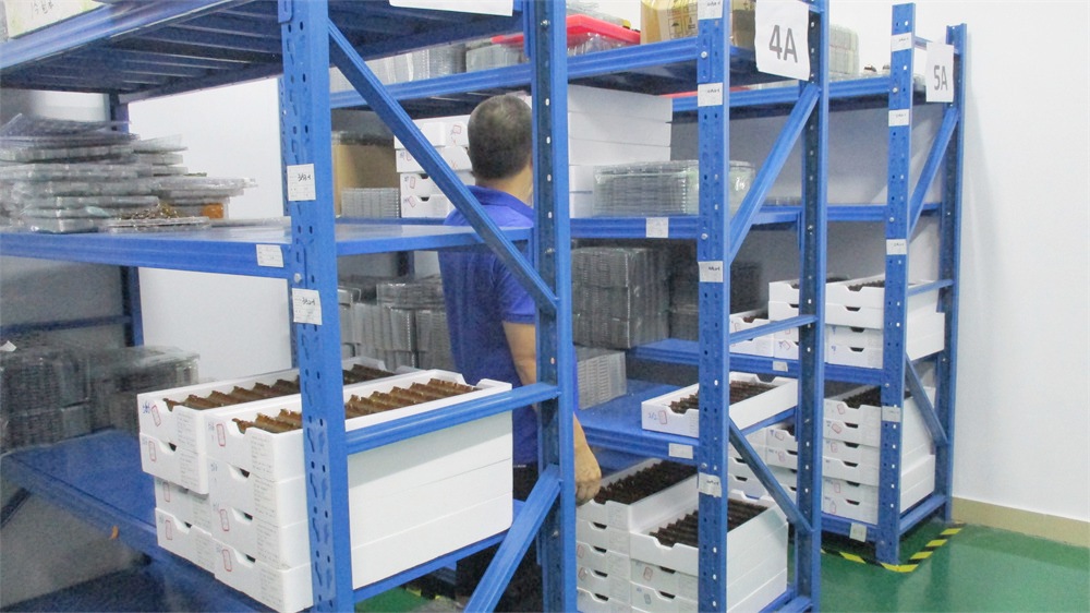 Shenzhen Quansheng Intelligent Electronics Co., Ltd. Smart Watch