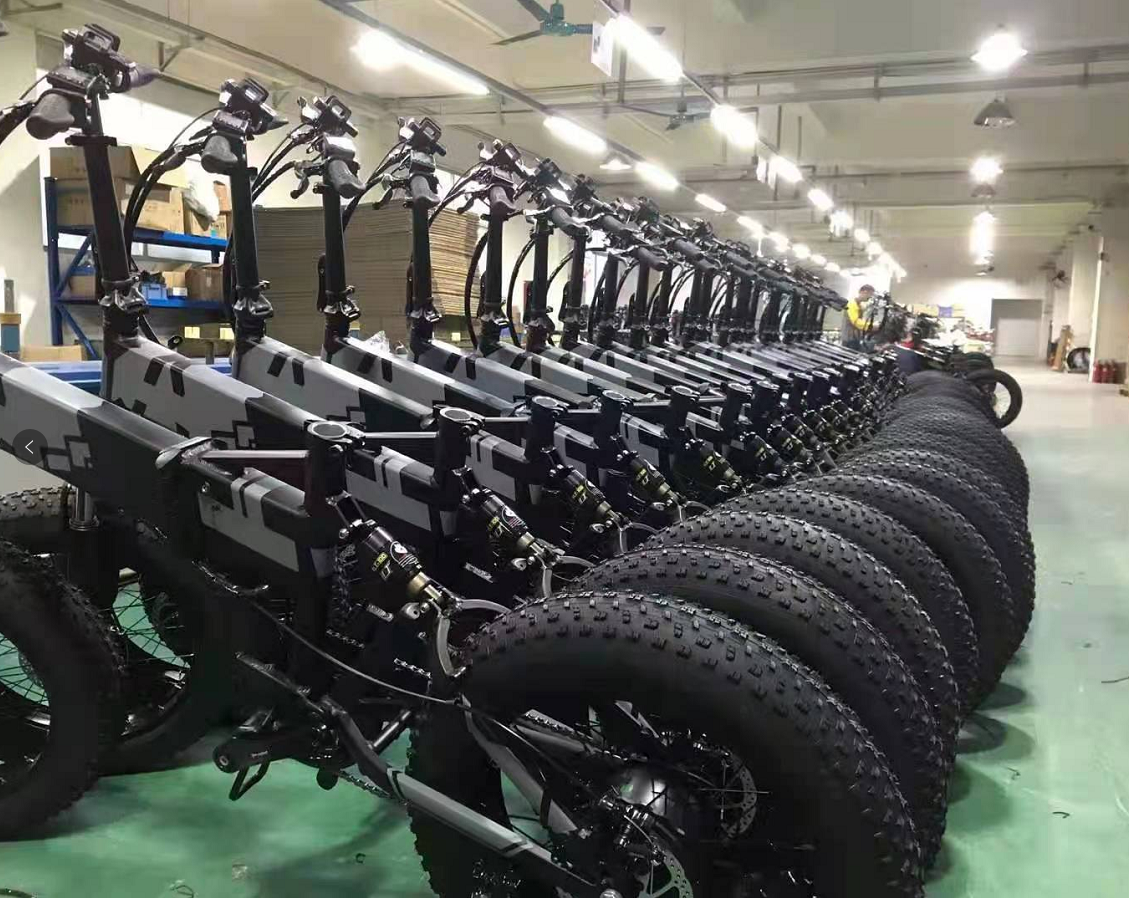 Dongguan Longjie Bicycle Co., Ltd. Folding Electric Bicycle