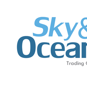 Company icon