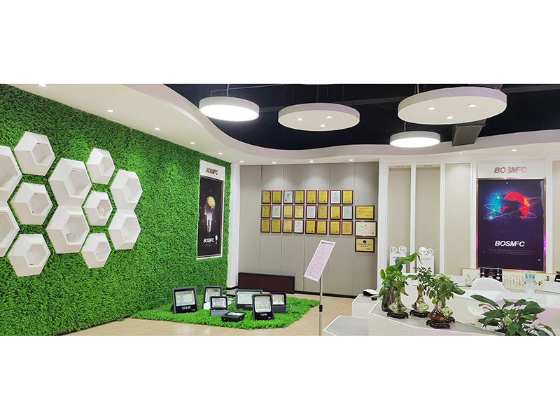 Dongguan Lanjin Optoelectronics Co., Ltd. Through Hole LED