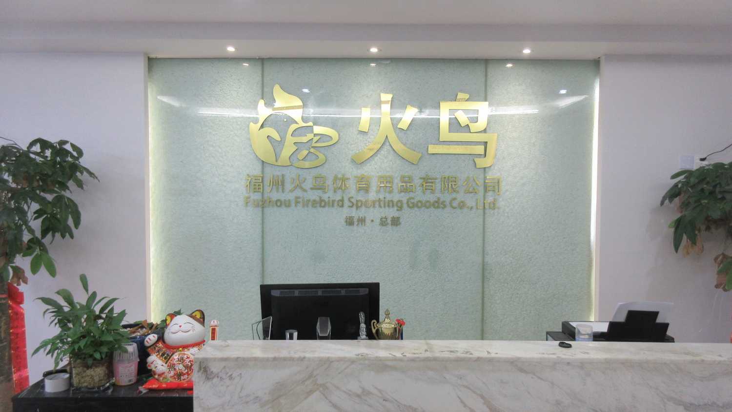 Fuzhou Firebird Sporting Goods Co., Ltd. Custom Socks