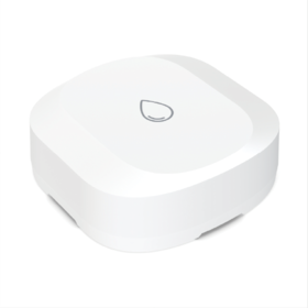 Smart Water Detector Kitchen Basement water leak sensor