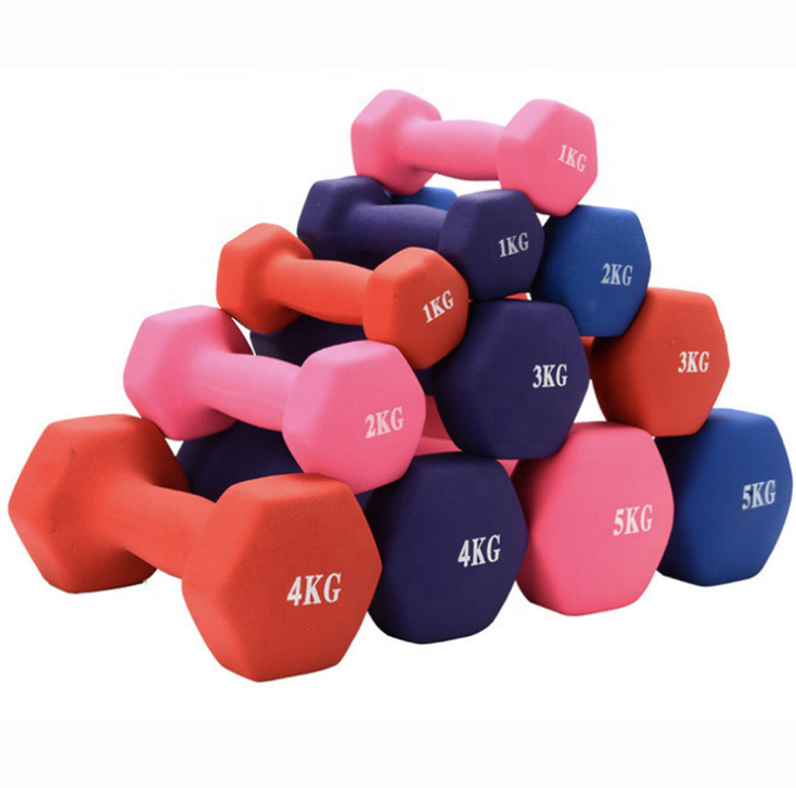 Gym Dumbbell Weights Dumbbell Fitness Frosting 0.5-10kg Women Men Home Gym Outdoor Sports Exercise Equipment Dumbbells