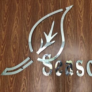 Company icon