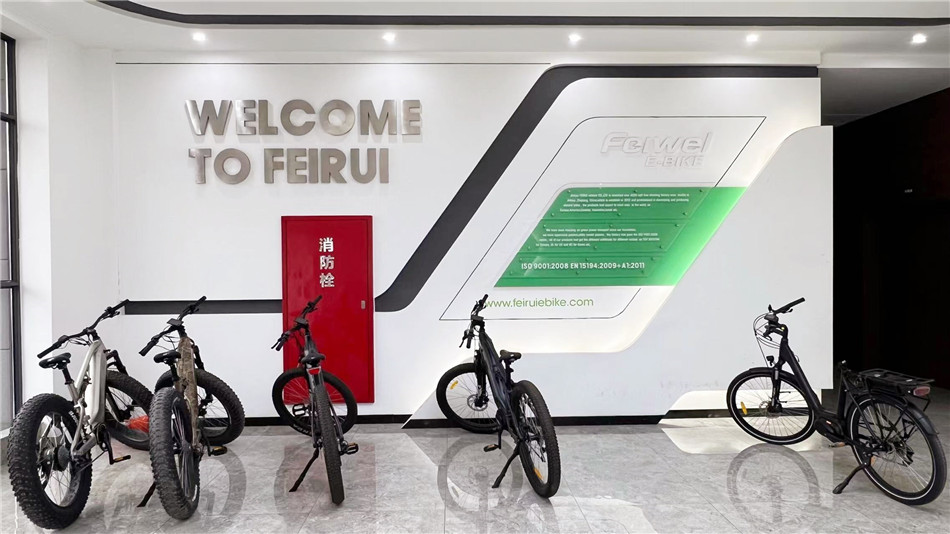 Jinhua Feirui Vehicle Co., Ltd. Electric Mountain Bike