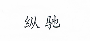 Yongkang Zongchi Industry and Trade Co., Ltd. logo
