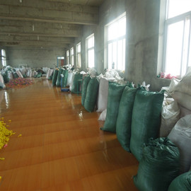 Xiongxian Yangyue Latex Product Co., Ltd. factory image 2